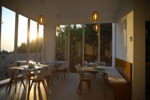 Serenity In餐厅或其他用餐的地方