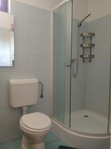 a bathroom with a toilet and a glass shower at Wash House Apartman in Győr