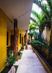 a corridor of a building with palm trees on the side at Casa Velero Puerto Morelos in Puerto Morelos