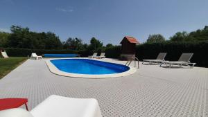 basen w ogrodzie z krzesłami i stołem w obiekcie Villa Mons Aureus w mieście Popovac