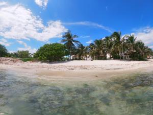 a beach with palm trees and the water at Casa Colibrí Tankah in Tulum