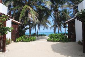 uma vista para a praia a partir de um resort com palmeiras em Casa Colibrí Tankah em Tulum