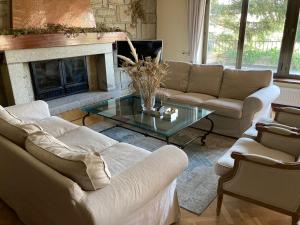 sala de estar con sofás y chimenea en Gran chalet con piscina y apartamento en Navacerrada en Navacerrada