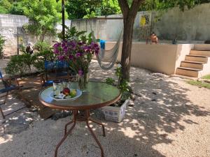 Zahrada ubytování Casa "La 44"