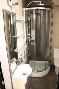 a bathroom with a shower and a sink and a toilet at Enigma Pension in Târgu Jiu