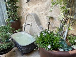 Giardino di La Cour Carrée