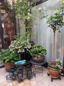 Giardino di La Cour Carrée