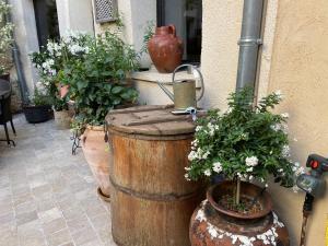 Giardino di La Cour Carrée