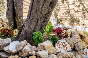 A garden outside Villa 4 you iliopetra