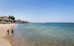Táj Show holiday homes közelében