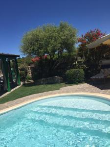 una grande piscina in un cortile con un albero di VILLA con PISCINA 200 mt dalla spiaggia 10 persone a Calasetta