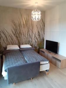 Ένα ή περισσότερα κρεβάτια σε δωμάτιο στο Apartament na Chopina