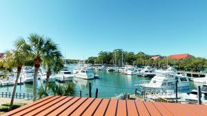 a bunch of boats docked in a marina at 7111 Harbourside in Hilton Head Island