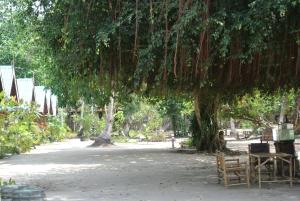 Zahrada ubytování Bangbaobeach Resort
