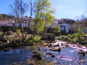 聖佩德羅溫泉的住宿－Casa Hóspedes Polido，一条有岩石、树木和建筑物的河流
