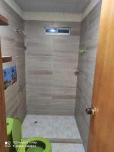 a bathroom with a shower with a green toilet at Hostal mis dos ángeles in Santiago
