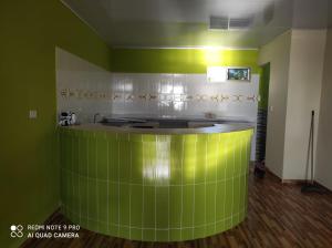 Santiago的住宿－Hostal mis dos ángeles，一间绿色的厨房,在房间内配有柜台