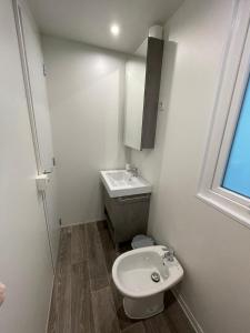 een kleine badkamer met een wastafel en een toilet bij Dolores ONLY 250 METERS TO THE BEACH in Banjole