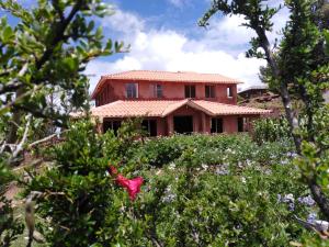 a house in the middle of a field of flowers at "Casa de Valentin" in Llachon