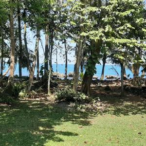 a wooded area with trees and a lake at Cahuita Inn in Cahuita