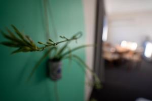 Fotografie z fotogalerie ubytování Parklane Motel v destinaci Launceston