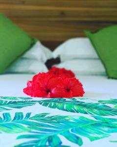 eine rote Blume auf einem Bett in der Unterkunft Casa De Leela Self Catering Guest House in La Digue