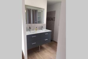 a bathroom with a sink and a mirror at le 18 avenue du côteau 2/3 personnes tout confort in Charmes