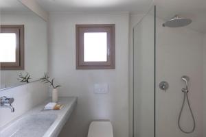 a bathroom with a shower and a toilet and a sink at Ammothines Cycladic Suites in Naxos Chora