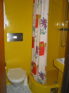 a bathroom with a toilet and a shower curtain at Ferienhaus Wassermühle in Maria Luggau