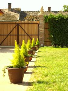 Ein Garten an der Unterkunft Patkószeg Vendégház