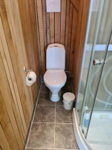 a small bathroom with a toilet and a shower at Molandstveit in Osestad +18 photos