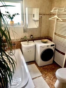 a small bathroom with a sink and a washing machine at Plum13 in Szolnok