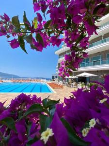 um ramo de flores roxas ao lado de uma piscina em Toto Boutique Hotel & Apartments em Vlorë