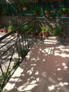 Fotografie z fotogalerie ubytování Vila Papa v destinaci Durrës