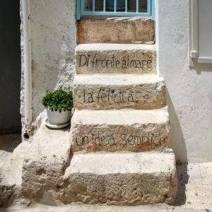 ポリニャーノ・ア・マーレにあるLa Casa Di Nicoleの鉢植えの石段