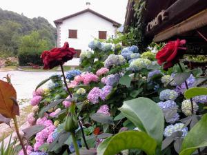 un jardín de flores frente a un edificio en Turismo Rural La Tablá, en Alles