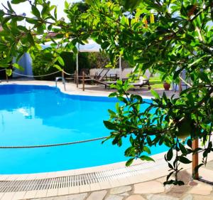 a large blue swimming pool with trees in the foreground at Villa Riviera in Stavros