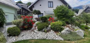 Zahrada ubytování Apartments Vesna