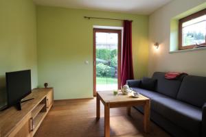 - un salon avec un canapé, une télévision et une table dans l'établissement Lodge Pengelstein by Apartment Managers, à Kirchberg in Tirol