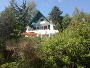 a house with a green roof in the trees at V4 Kilátóterasz Apartmanok Földszint in Nagymaros