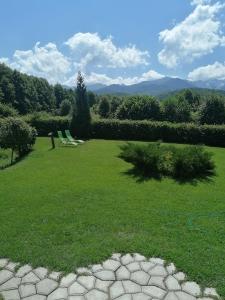een groene tuin met twee stoelen in het gras bij Casa de vacanța Marin in Arpaşu de Sus