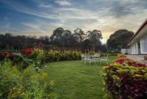 a garden with two chairs and flowers in a yard at Galway Heights Hotel in Nuwara Eliya