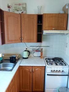 Kuchyňa alebo kuchynka v ubytovaní Apartmán Palenica