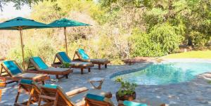 - un groupe de chaises longues et de parasols à côté de la piscine dans l'établissement Ku Sungula Safari Lodge, à Réserve de Balule