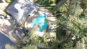 an overhead view of a swimming pool with palm trees at Ndzuti Guest House in Witbank