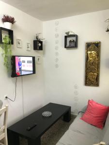 a living room with a couch and a tv on a wall at LA PAJARITA in La Franca