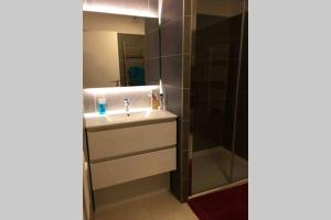 a bathroom with a sink and a shower at Les terrasses du port in Canet-en-Roussillon +13 photos