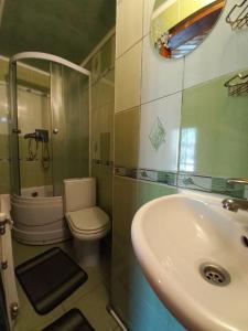 ein Bad mit einem Waschbecken, einem WC und einer Dusche in der Unterkunft У Тараса і Лесі in Jaremtsche