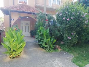 a small house with a white door and some plants at Sokobanja apartman Aviva in Soko Banja