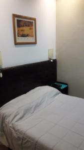 a bed in a bedroom with a picture on the wall at HOTEL KAPAC in Mendoza